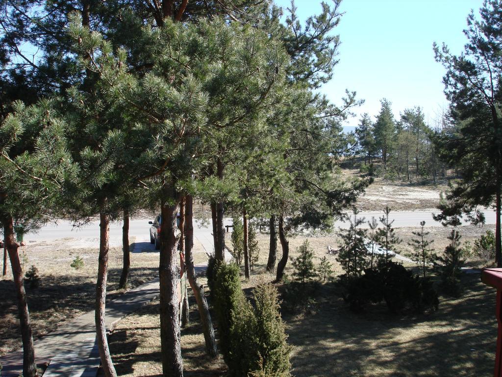 Guesthouse "Nakvyne Pas Zveja" Purvynes Street Nida Bagian luar foto
